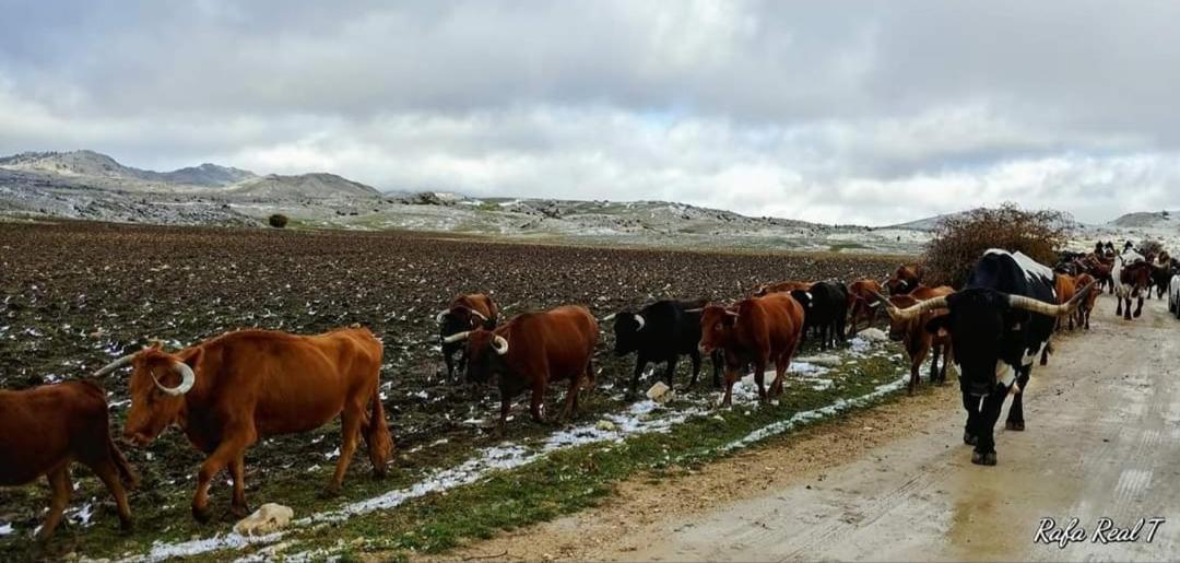 Alojamiento Rural El Penon De Hornos Exterior foto
